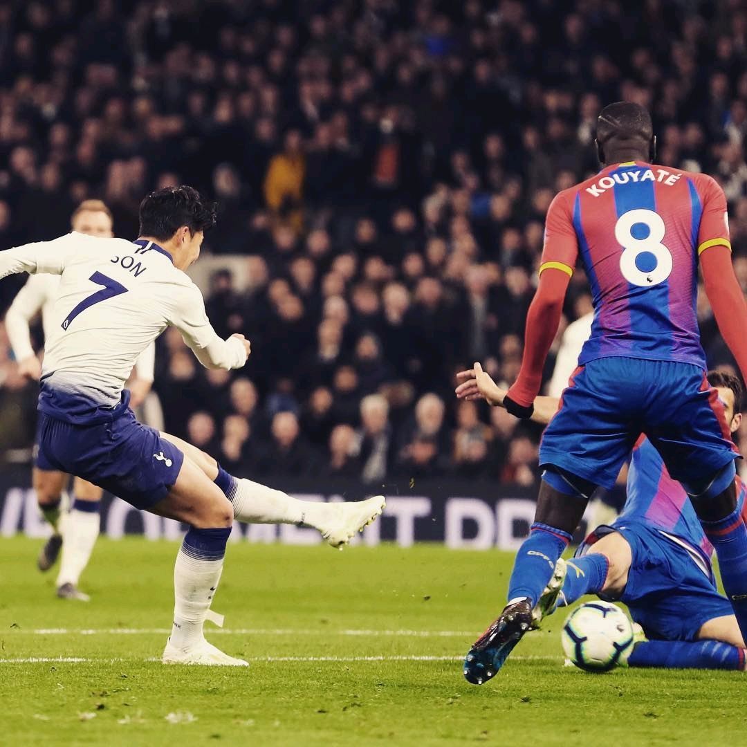 行智慧性的 行智慧性的